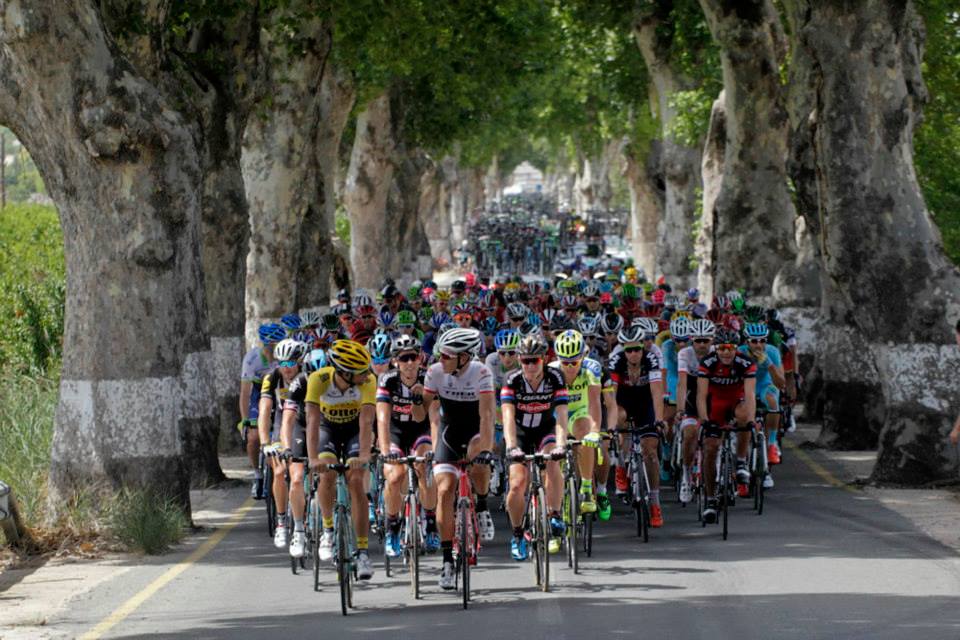 Vuelta2015_Stage8_peloton2